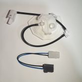 KIT11