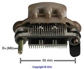 PL196