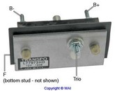 RV061