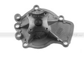 WP091